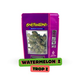 Watermelon Z x Trop Cherry Premium Flower 3.5g - Funsize Series
