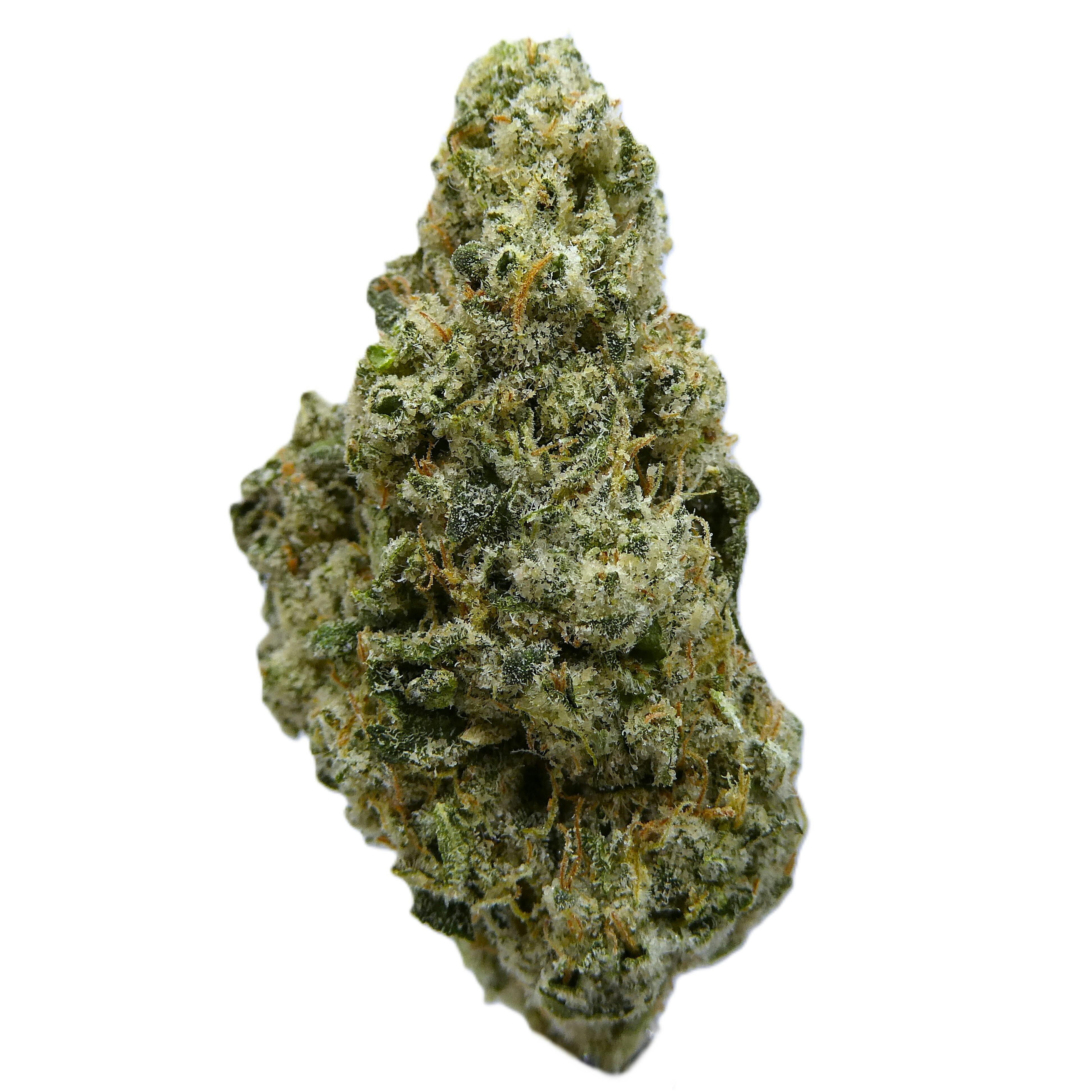 Highaleah Buds