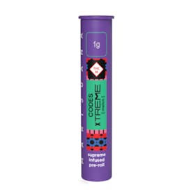 Codes: Infused Pre-Roll | Melon x Apple Fritter | Xtreme J's | 1g