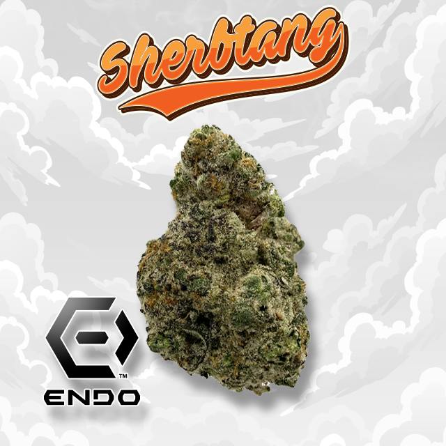 Endo Shertang 28g by Endo