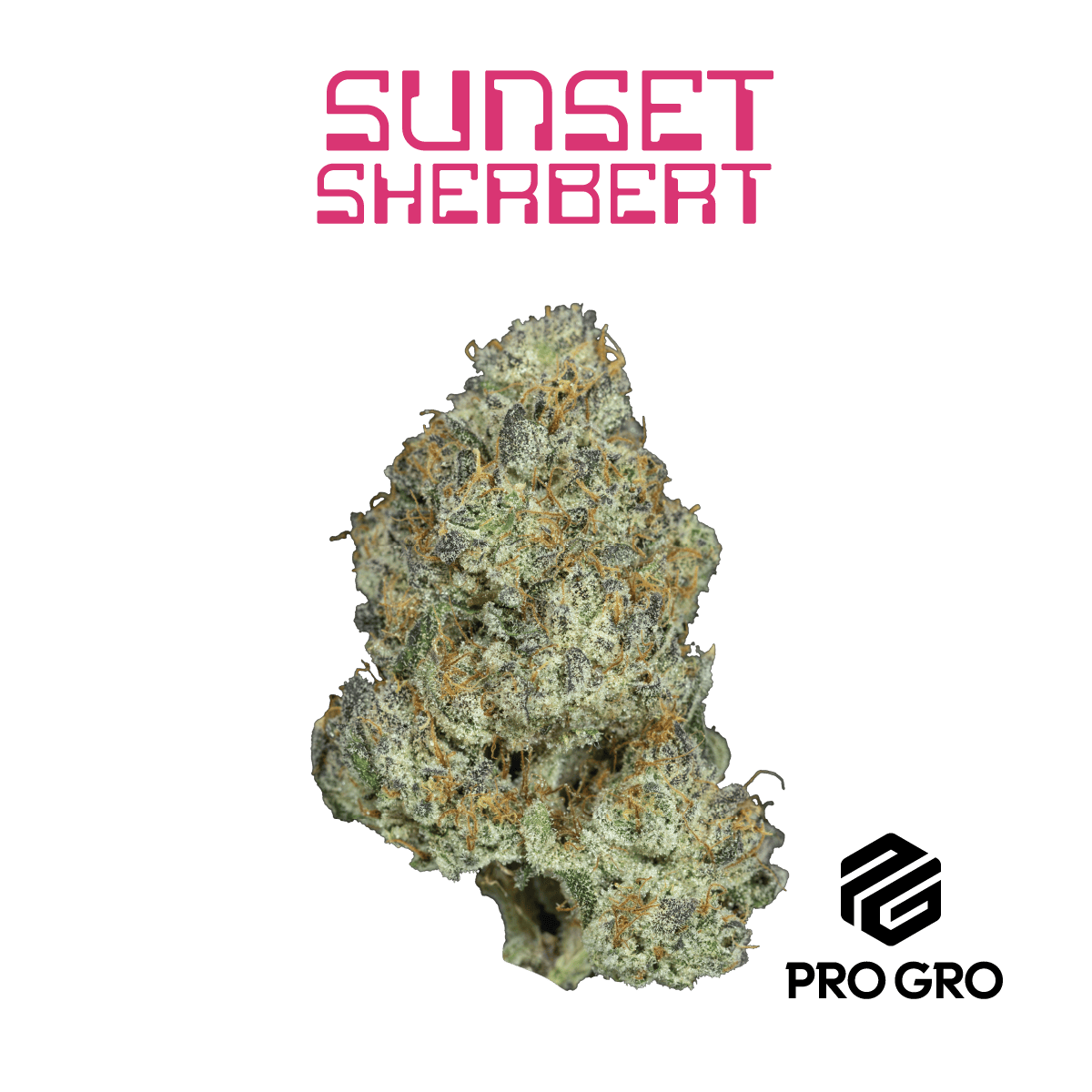 Sunset Sherbert by Pro Gro