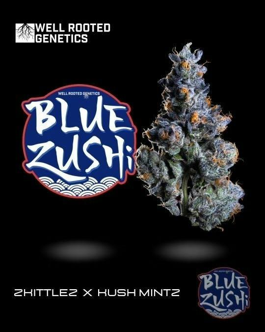 Well Rooted Genetics | Blue Zushi | Big Buds | 3.5g by Well Rooted Genetics