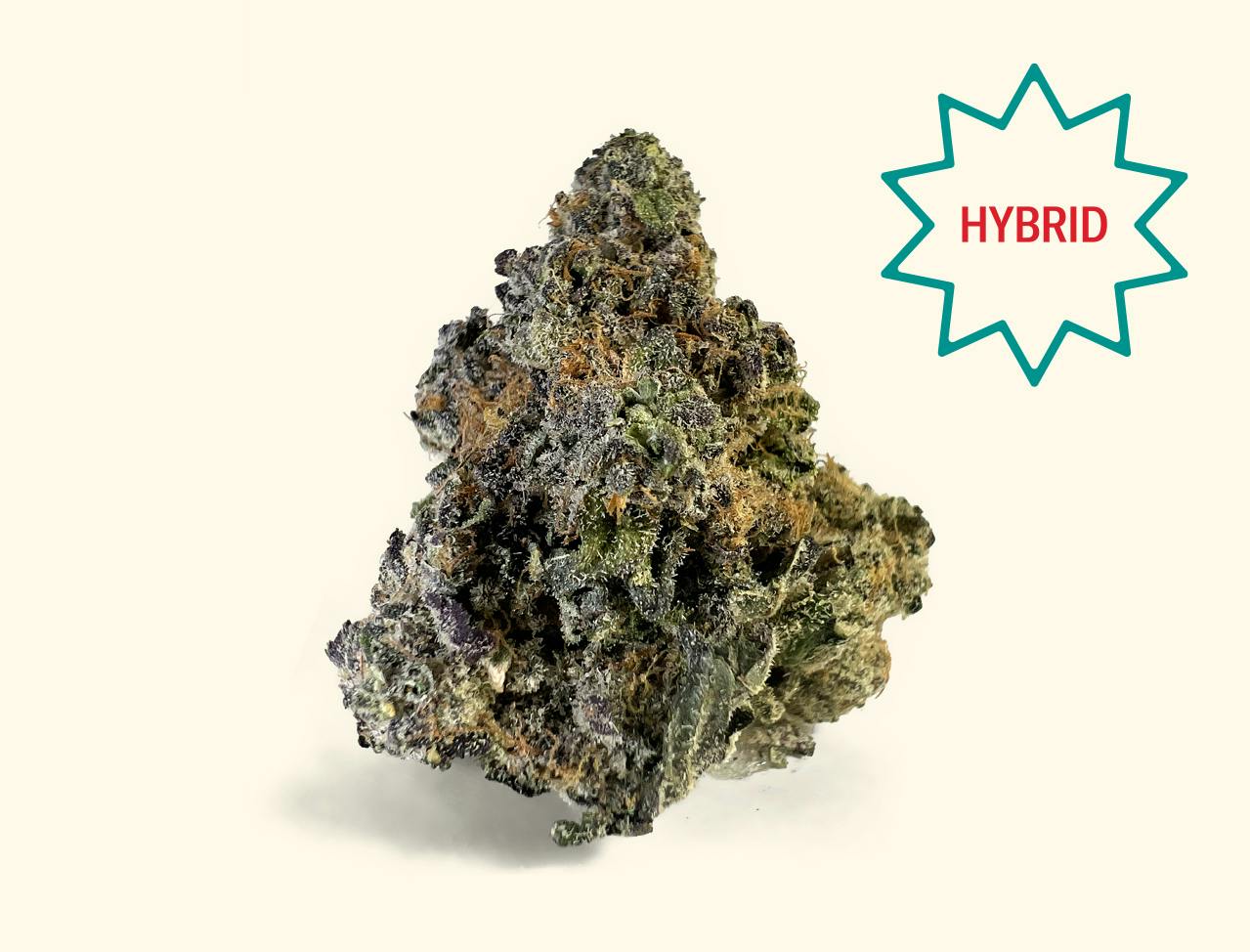 Neighborgoods Flower | 2090 S! - Neighborgoods