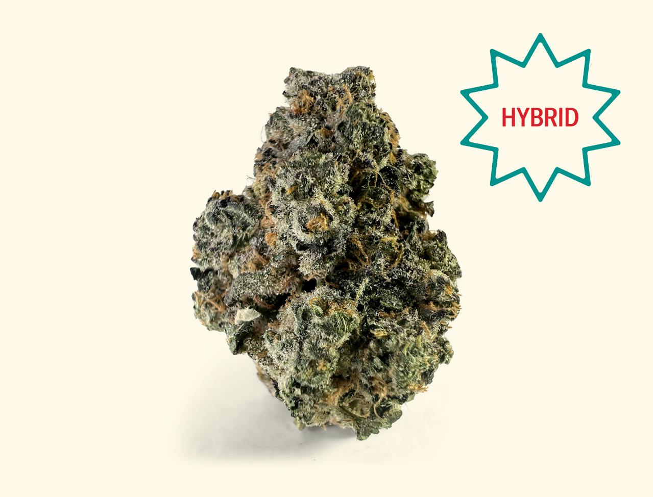Neighborgoods Flower | Apple Fritter