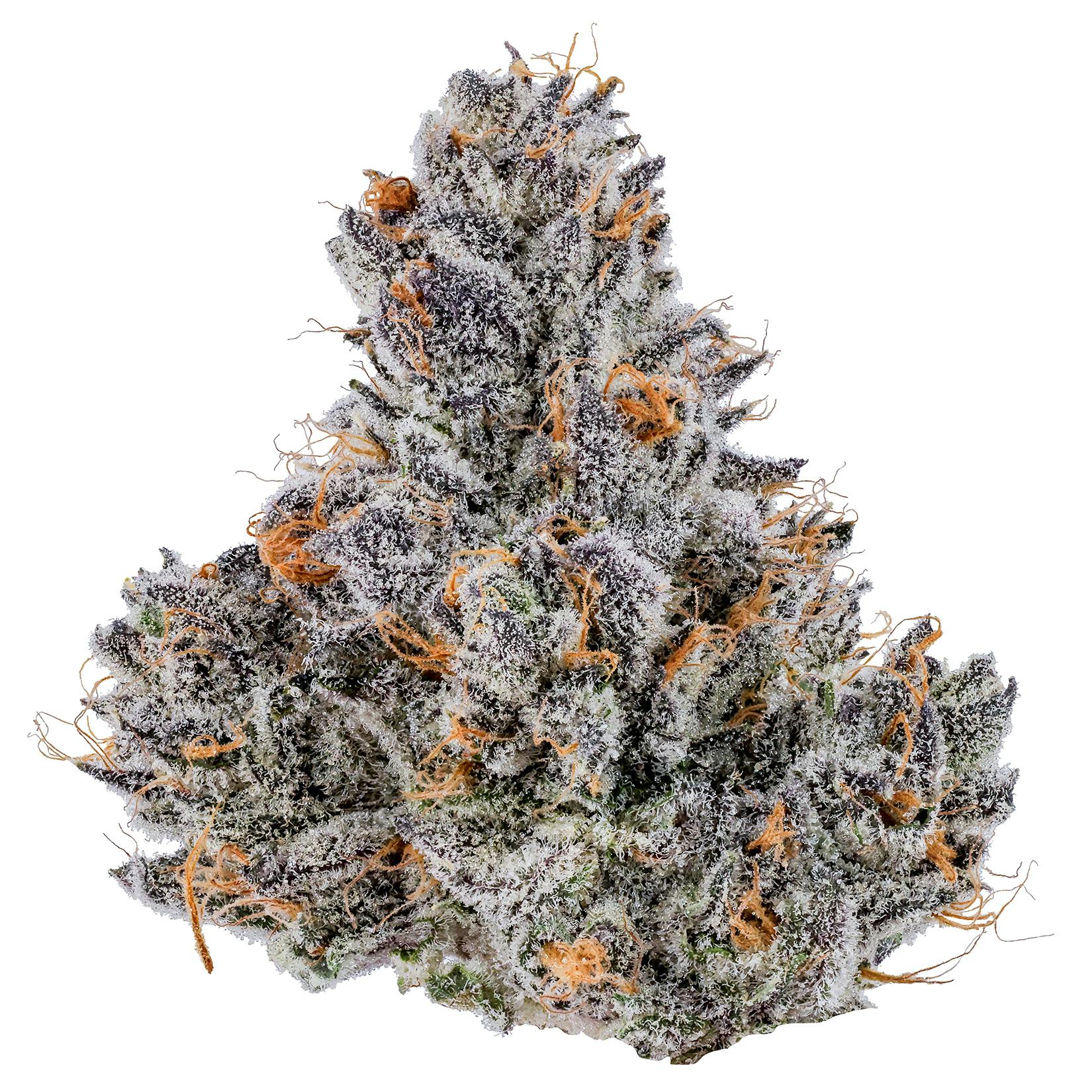 Fig Farms | Cranberry Cookie Dough | Big Buds