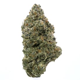 LA Baker Flower (Buds)