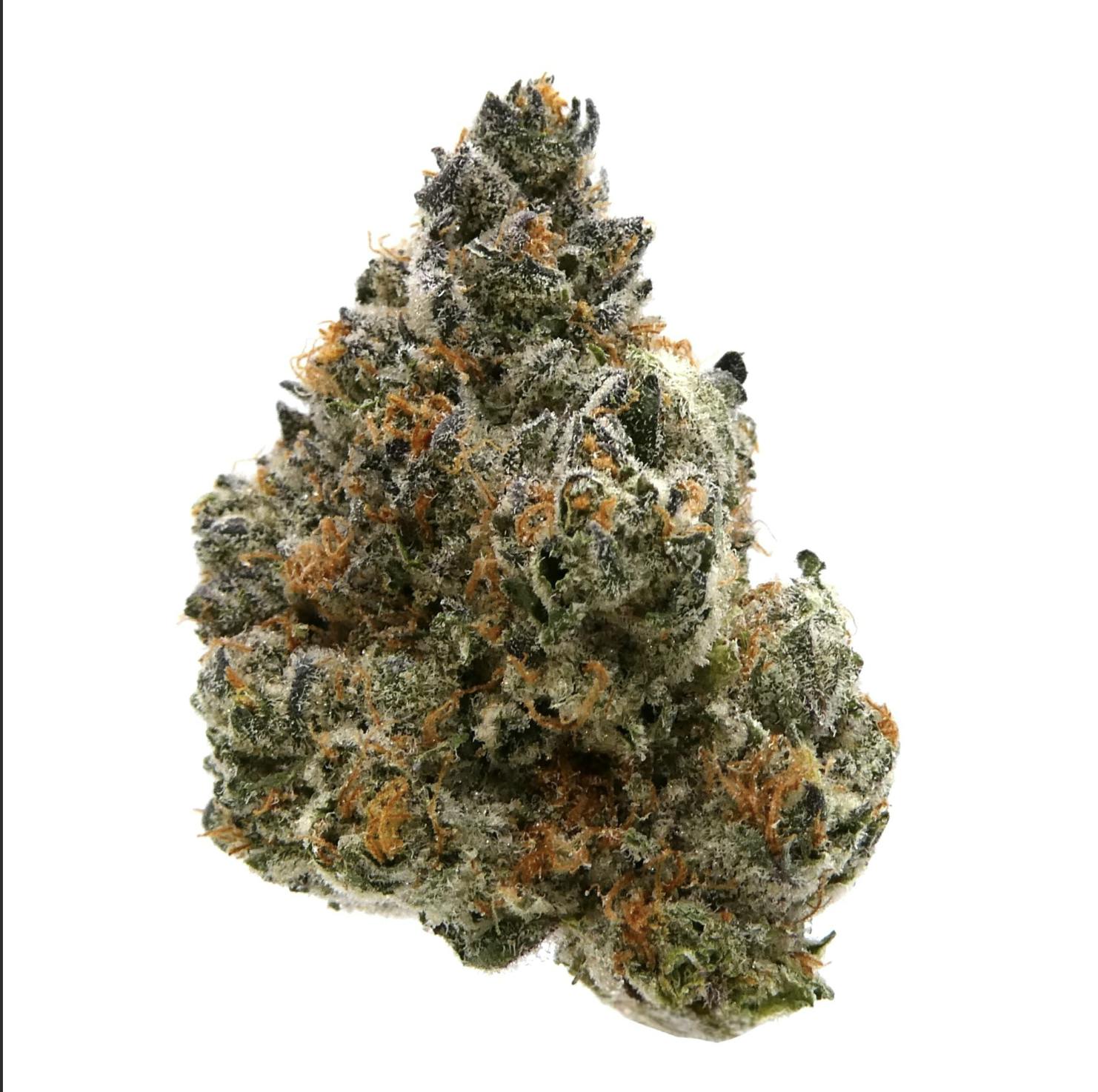 Garcia Hand Picked: Grape Fritter