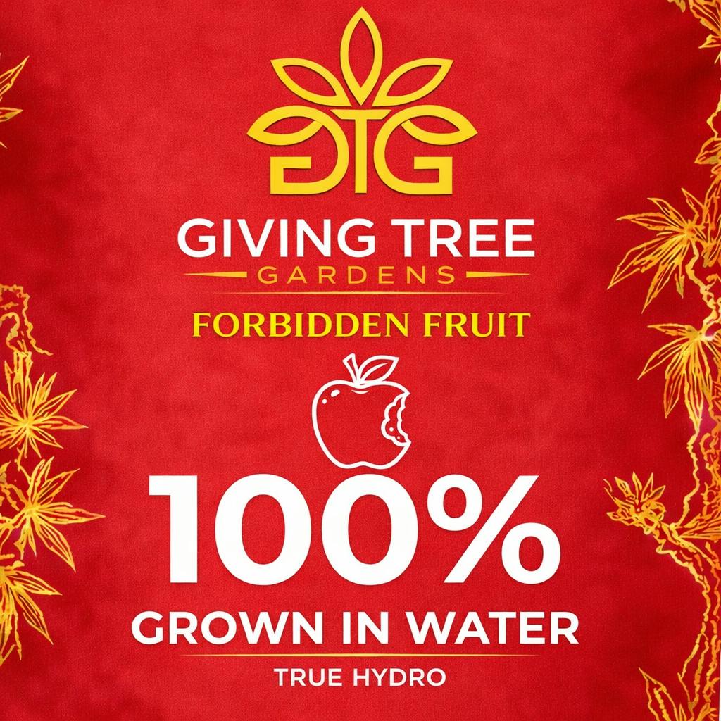 Forbidden Fruit – Deli Flower | 100% WATER GROWN • TRUE HYDRO