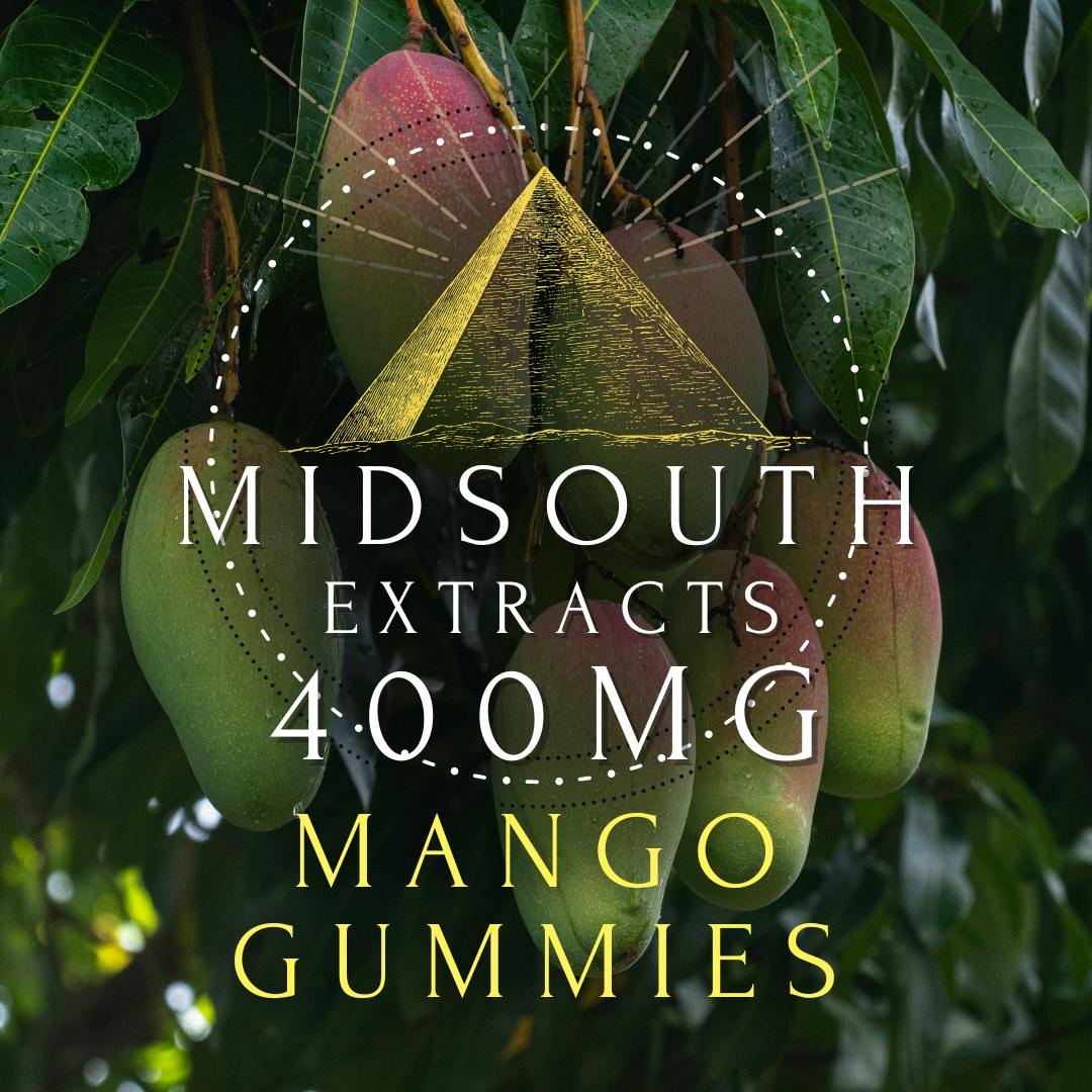 Gummies 400mg/10pk Mango