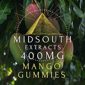 Gummies - 400mg/10pk - Mango