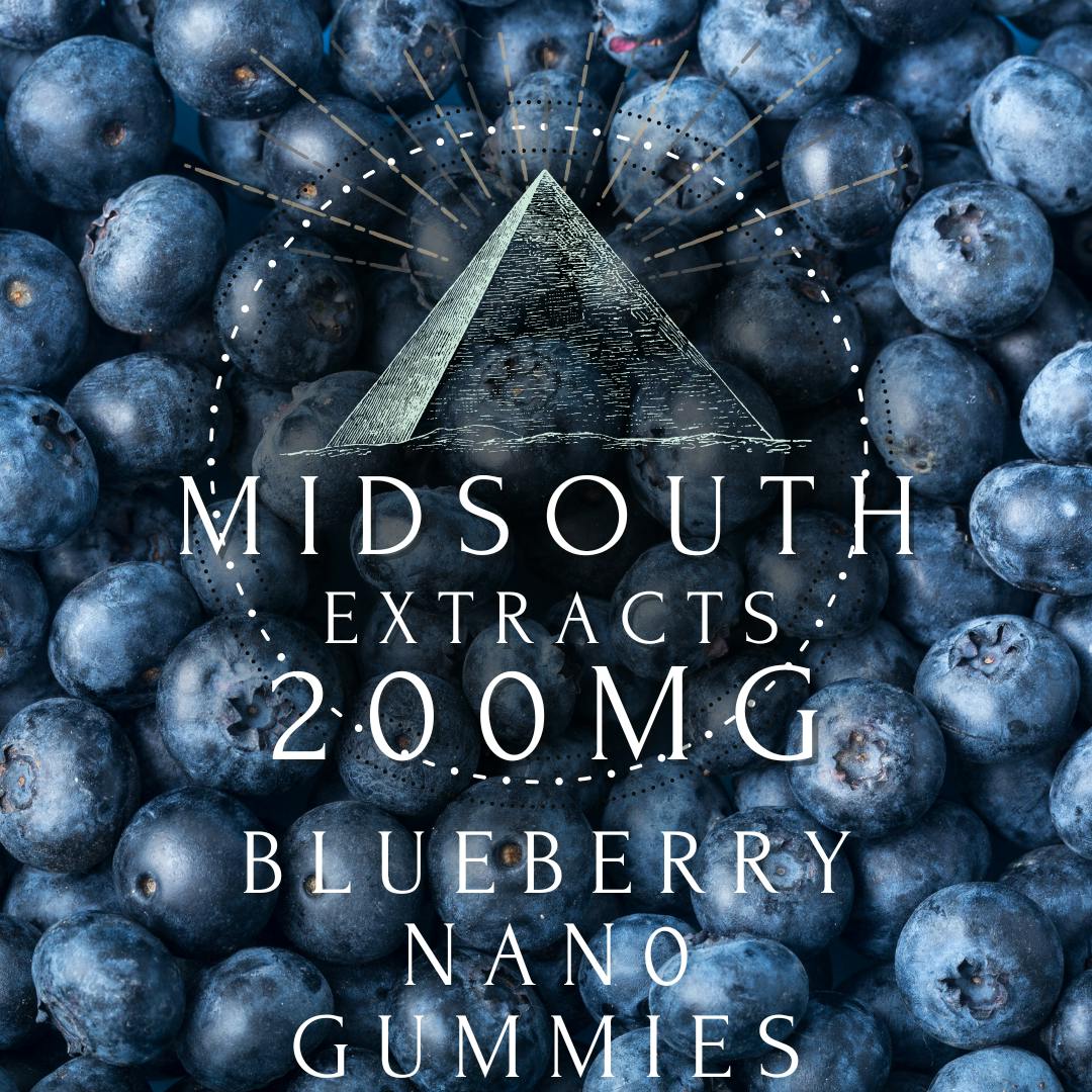 Gummies - Nano - 200mg - Blueberry by MidSouth Extracts
