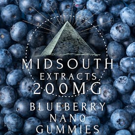 Gummies - Nano - 200mg - Blueberry