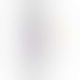 PURPLE HAZE 1.1G INFUSED JOINT