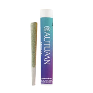 AUTUMN BRANDS - Autumn Brands - Preroll - Standin' on Business - (I) 1g