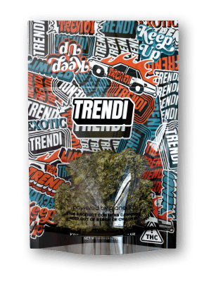 Rocks Purple Push Pop Indoor