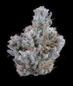 GG4 | Brave Boat Gardens