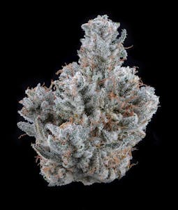 BRAVE BOAT GARDENS - GG4 | Brave Boat Gardens