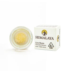 HIMALAYA - HIMALAYA | SLURTY 3 LIVE RESIN | EXTRACT | 1G