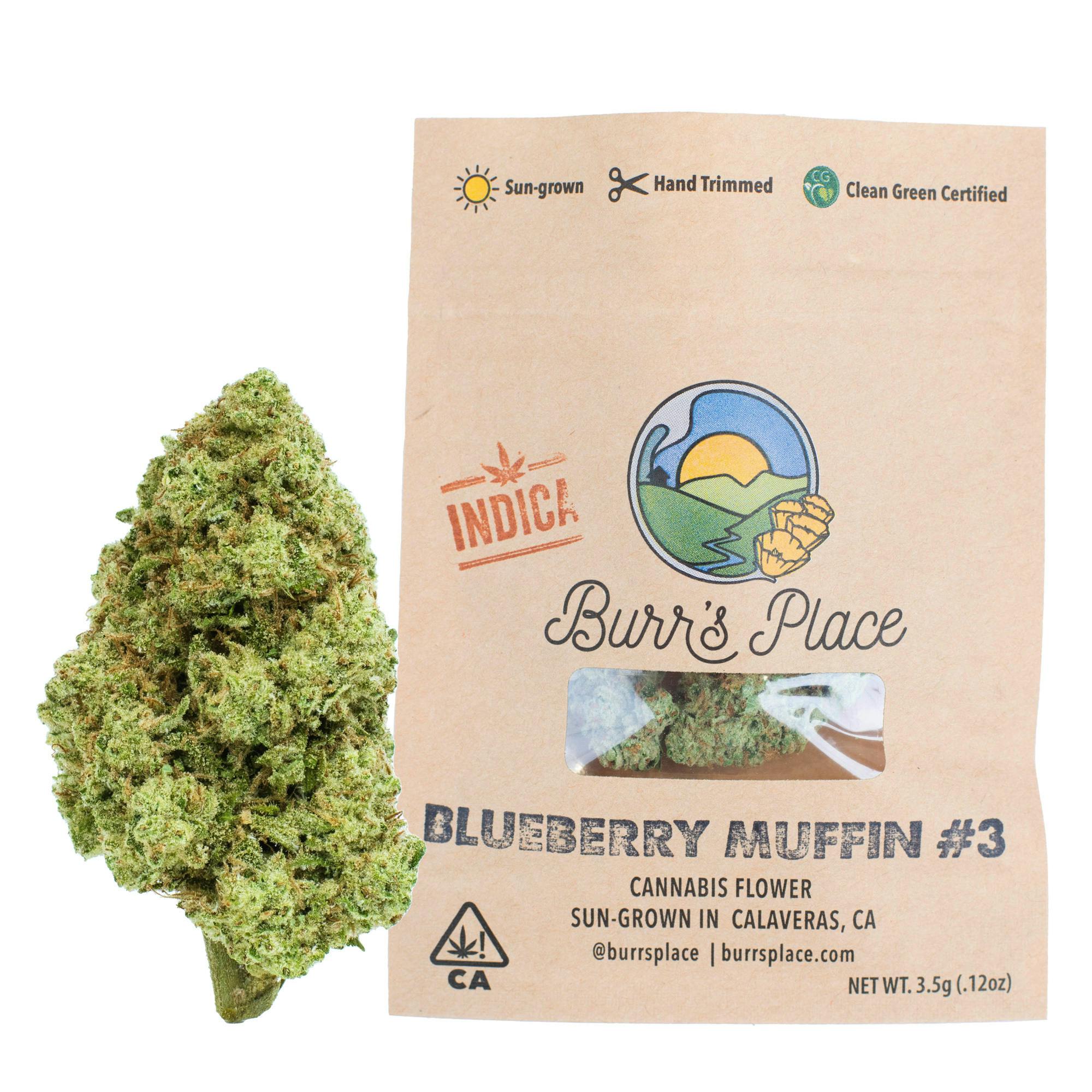 Burr’s Place | Blueberry Muffin - 3.5g Bag (Indica ⏺ 23%-31%)