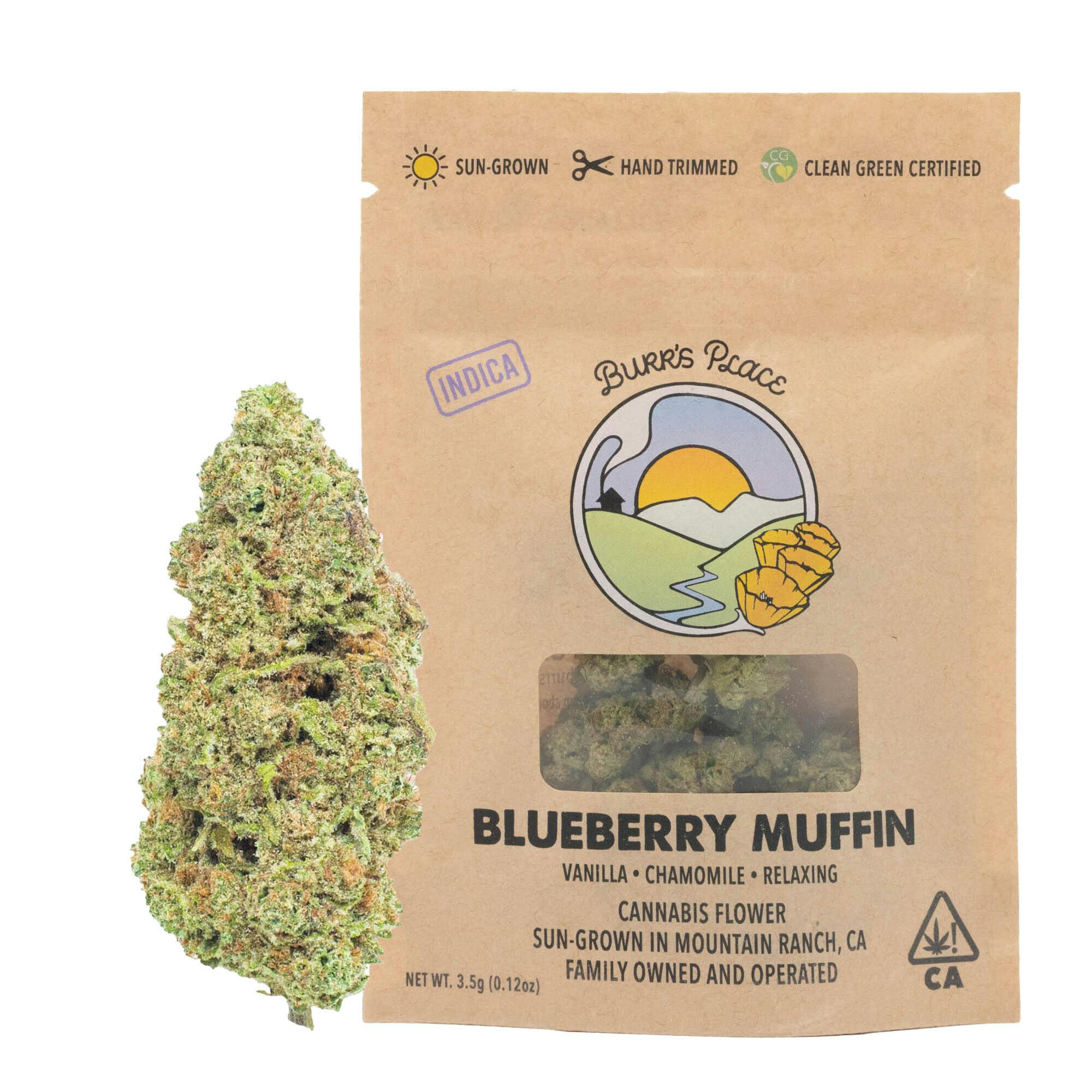 Burr's Place — Blueberry Muffin