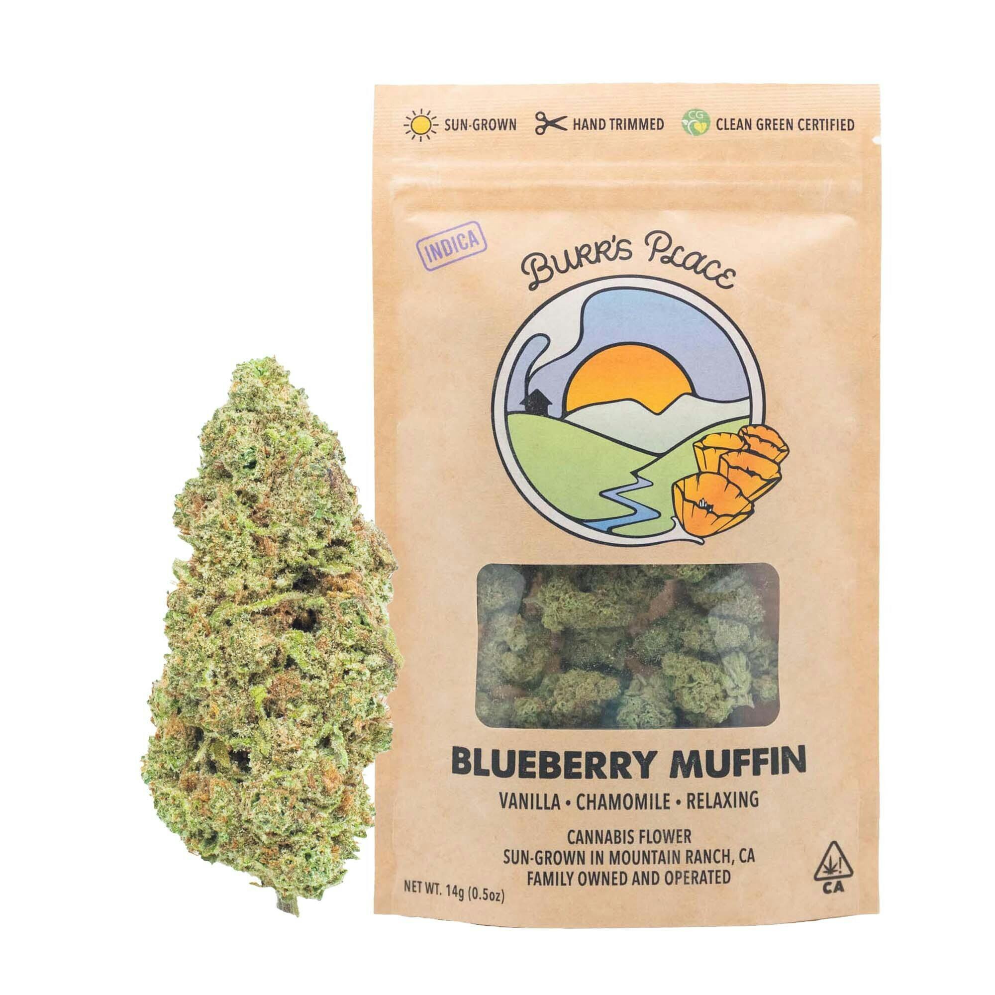 Burr's Place: Blueberry Muffin