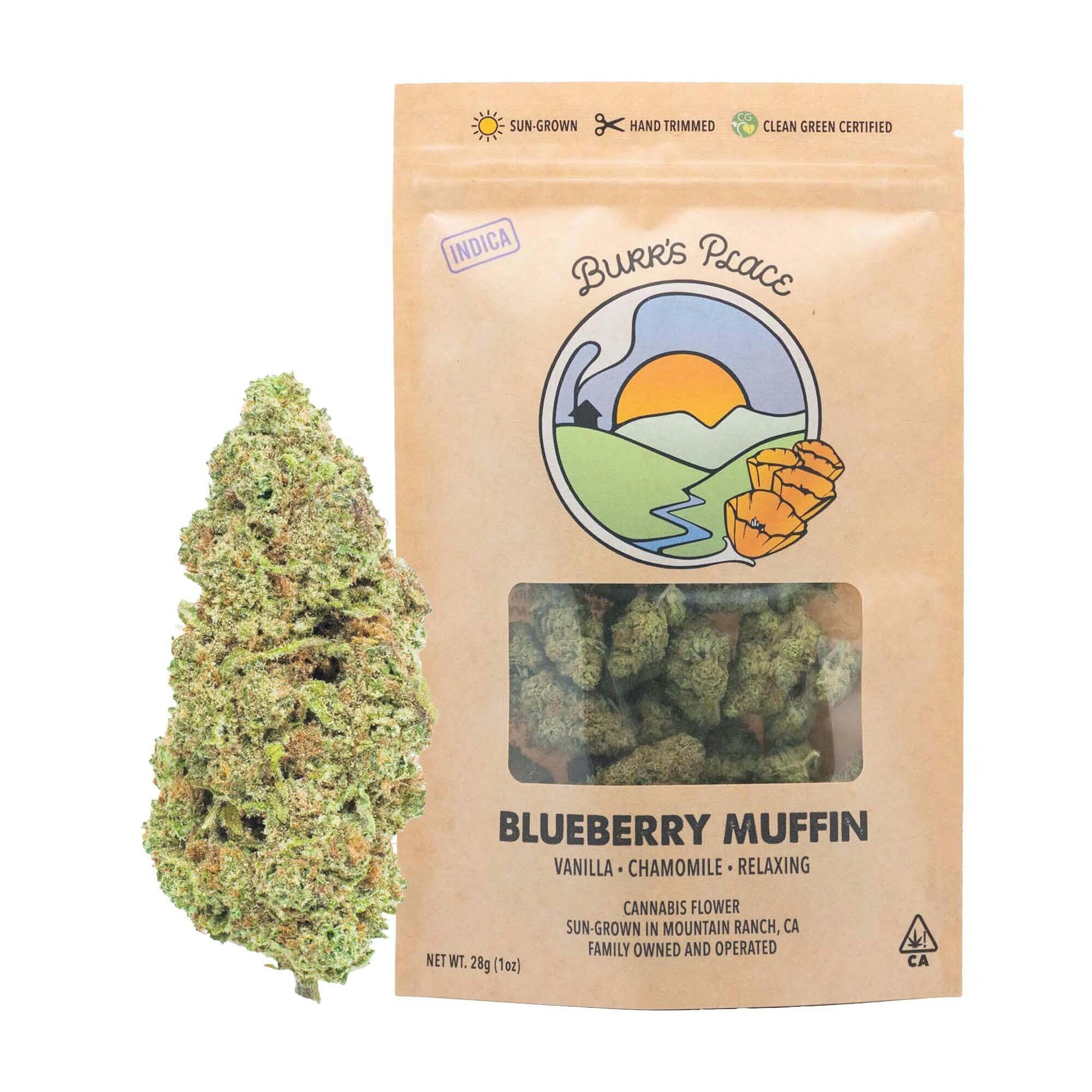 Burr's Place: Blueberry Muffin