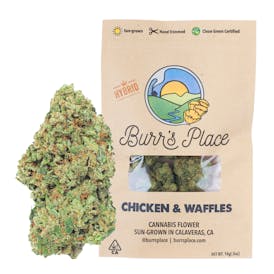 Burr’s Place | Chicken & Waffles - 14g Bag (Hybrid)