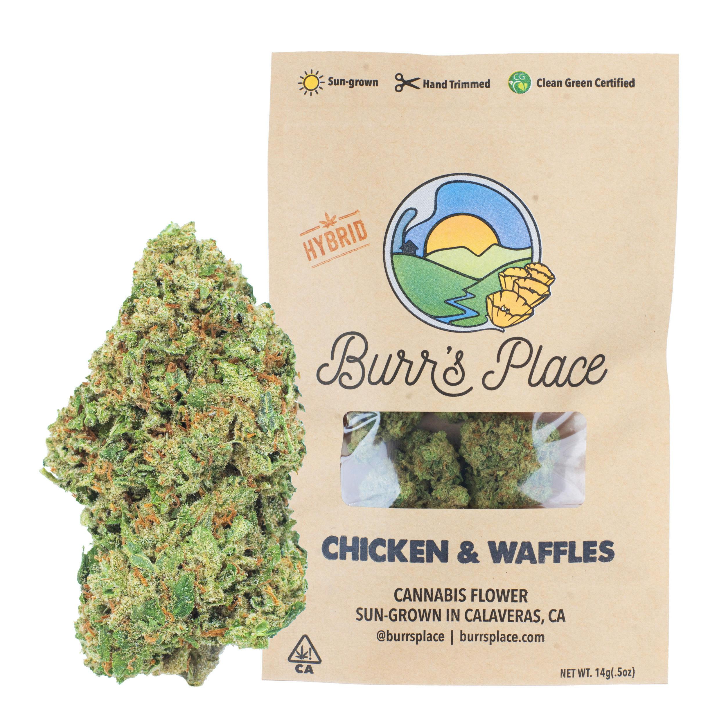 Burr's Place: Chicken & Waffles