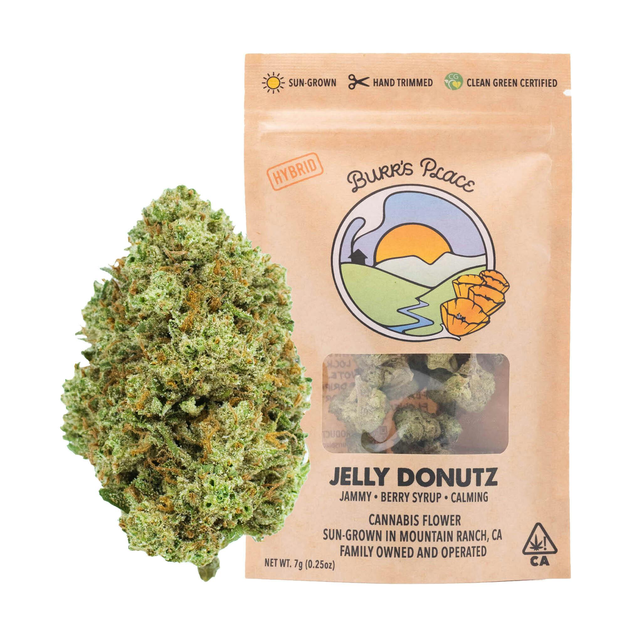 Burr's Place: Jelly Donutz