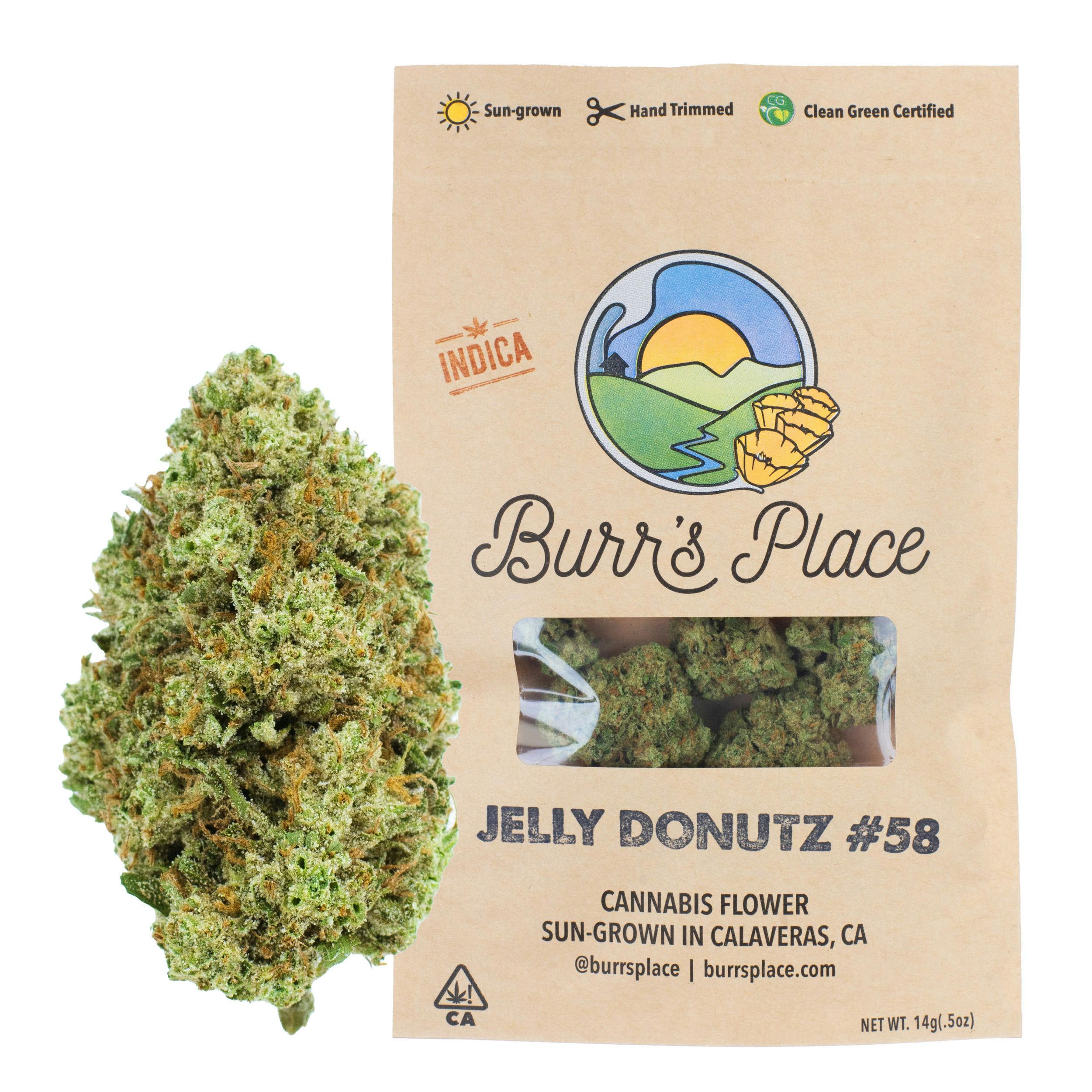 Burr's Place — Jelly Donutz - Bag
