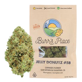 Burr’s Place | Jelly Donutz - 14g Bag (Indica)