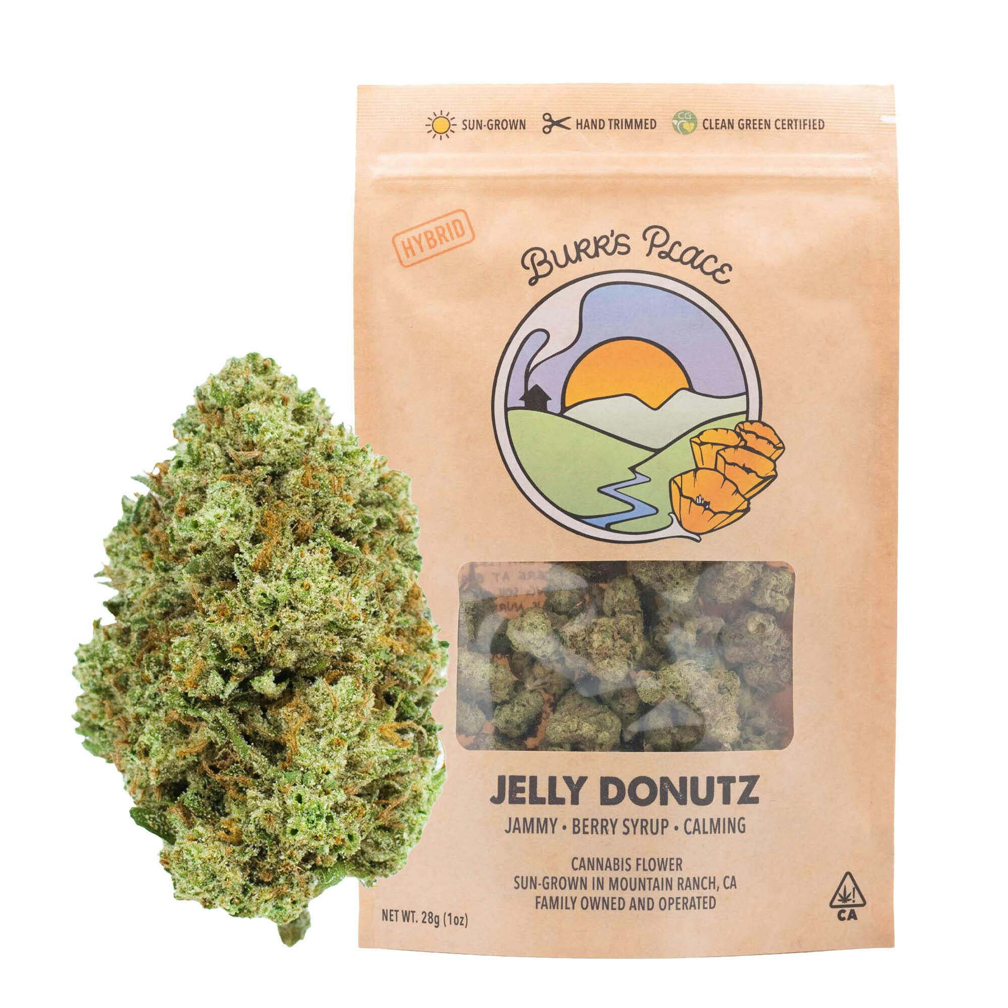 Burr's Place: Jelly Donutz