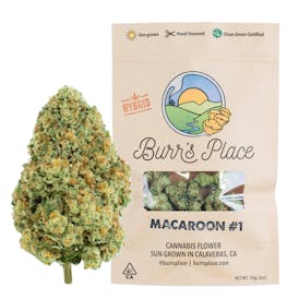 Burr’s Place | Macaroon #1 - 14g Bag (Hybrid)