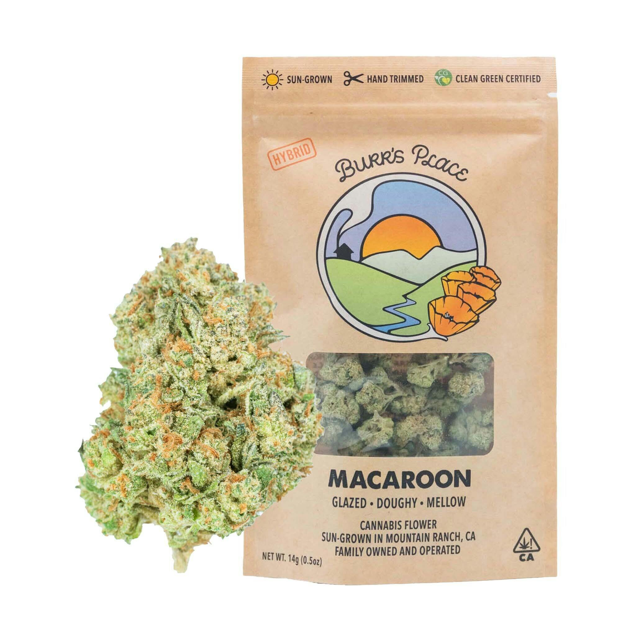 Burr's Place: Macaroon - Big Buds - 14g