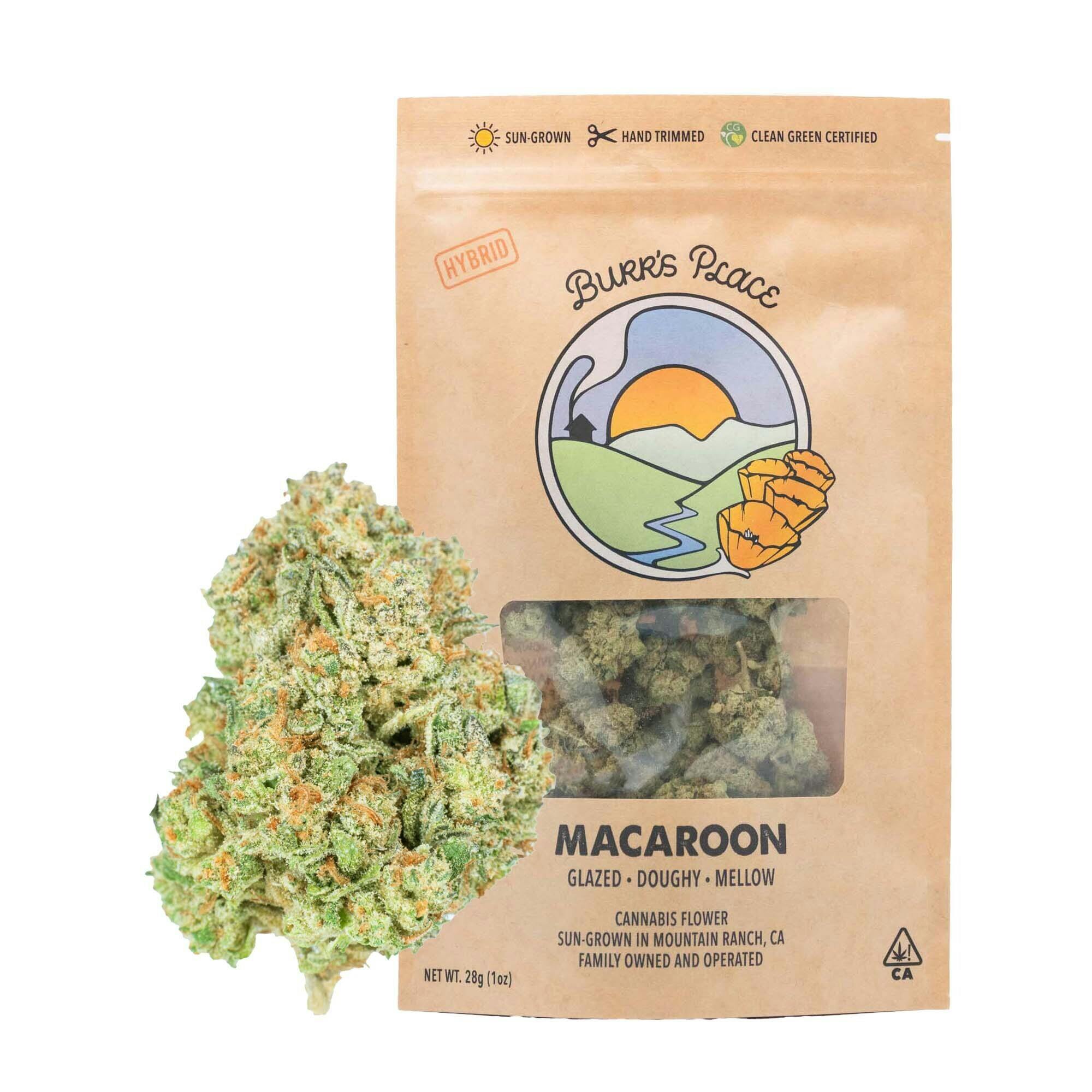 Burr's Place: Macaroon - Big Buds - 28g