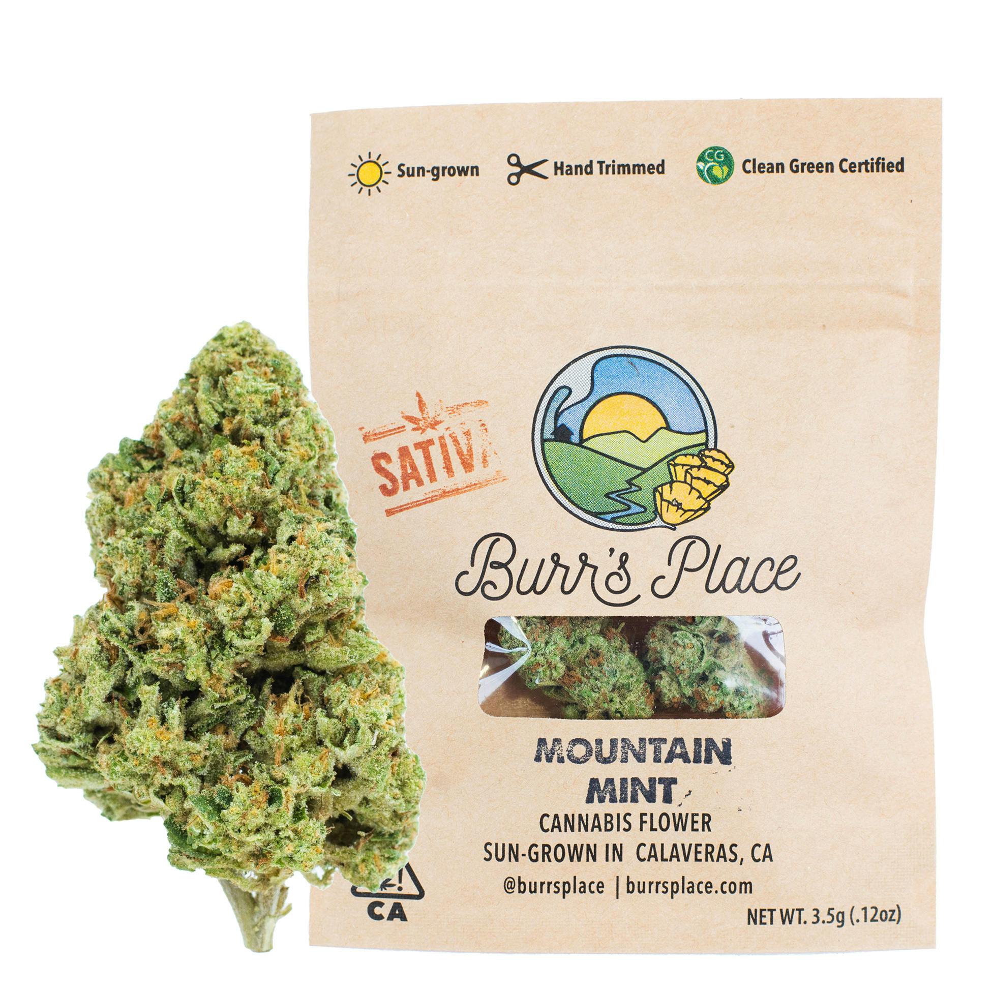 Burr’s Place | Mountain Mint - 14g Bag (Sativa)