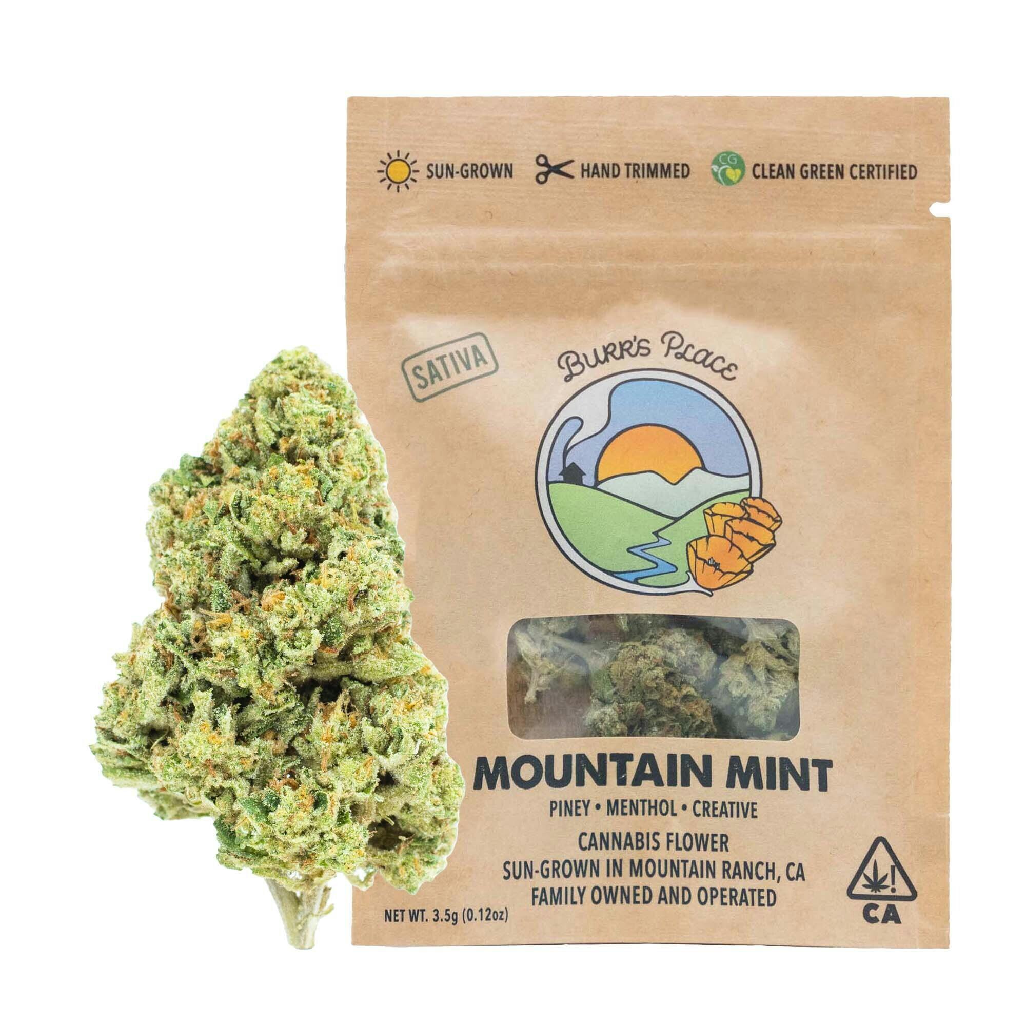 Burr's Place: Mint