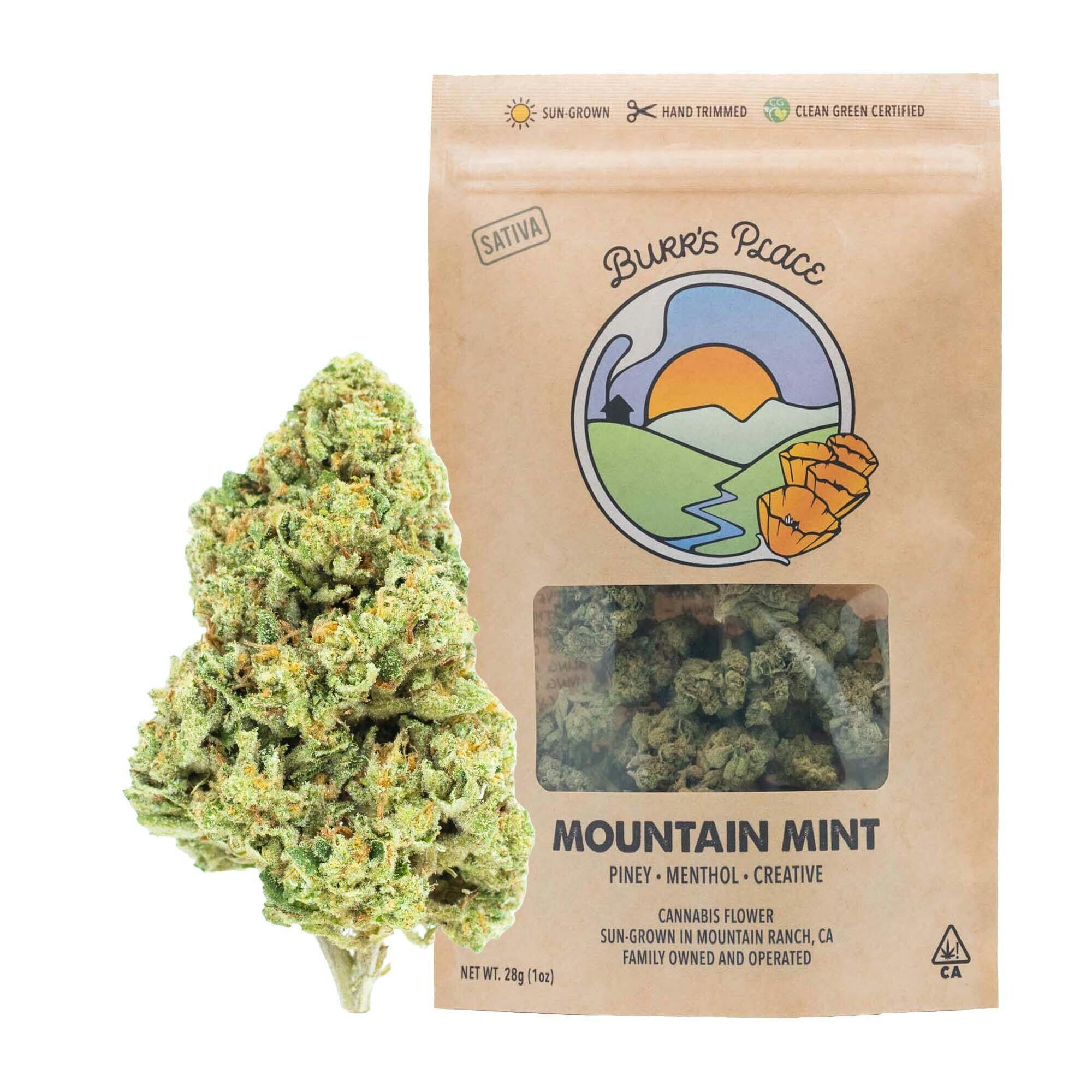 Burr's Place: Mint