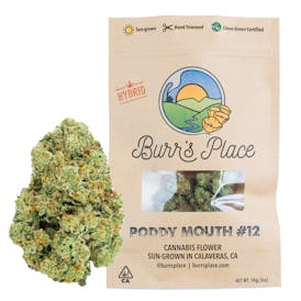 Burr’s Place | Poddy Mouth #12 - 14g Bag (Hybrid)