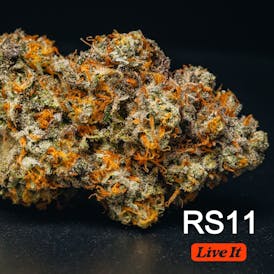 LIVE IT BUDS | RS11