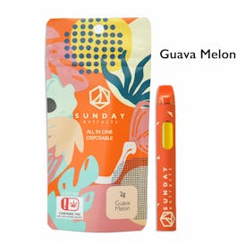 2g All in One Guava Melon