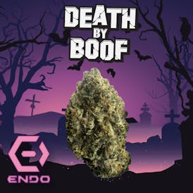 ENDO DEATH BY BOOF BULK