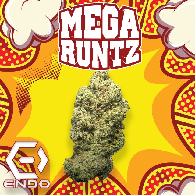 ENDO MEGA RUNTZ BULK by Endo
