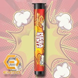 ENDO MEGA RUNTZ 1G PRE-ROLL