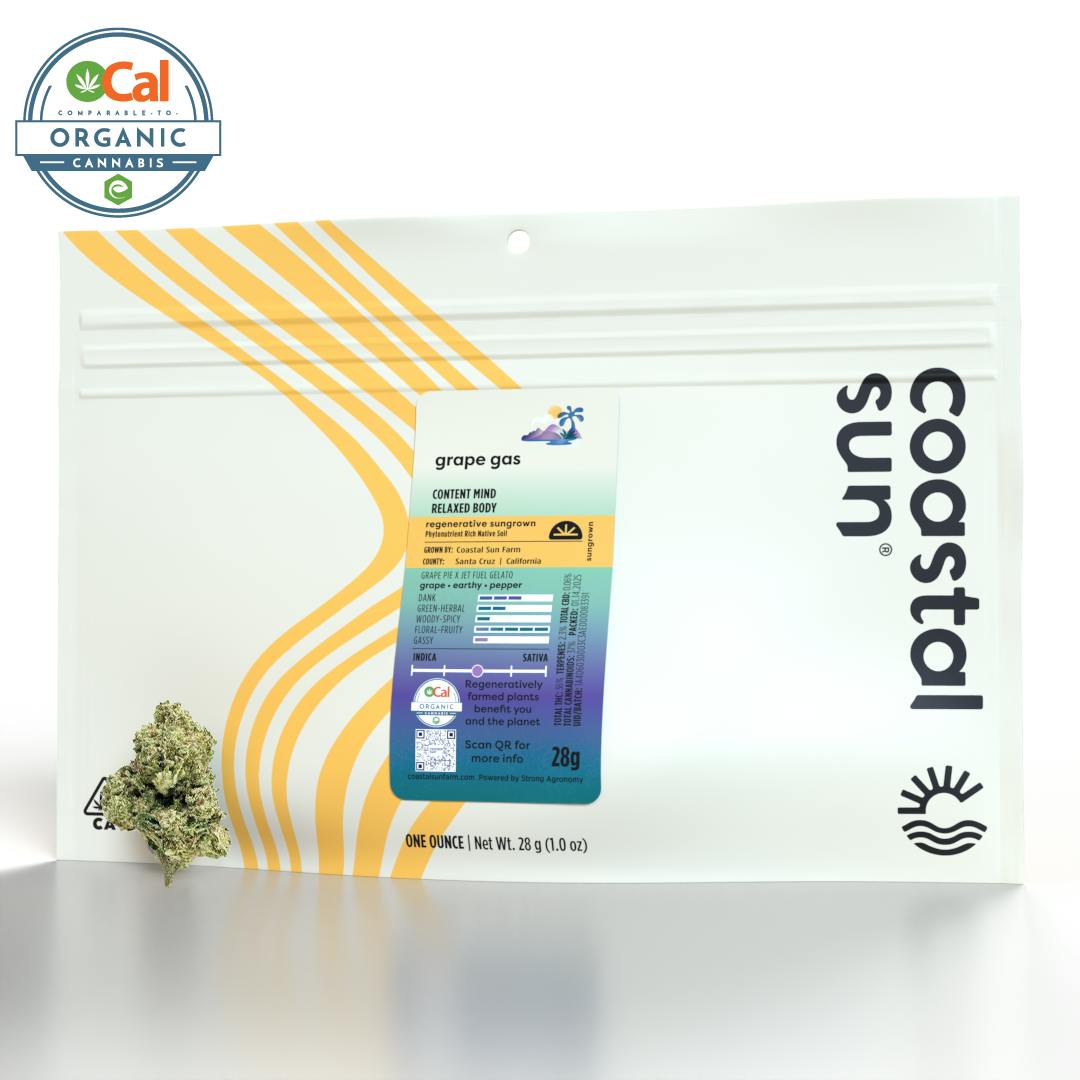 1737405669-coastal-sun-