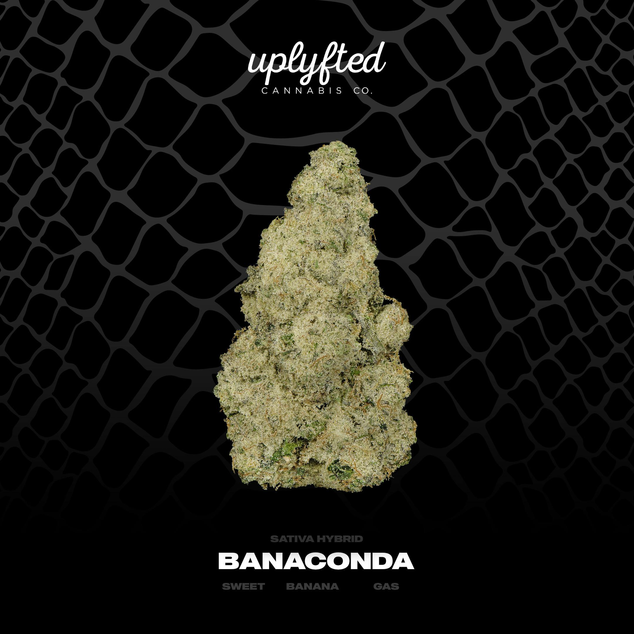Banaconda Bulk- Deli