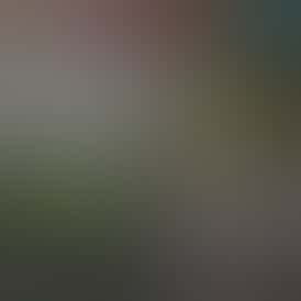 1g Bubble Hash Concentrate - Baby Yoda