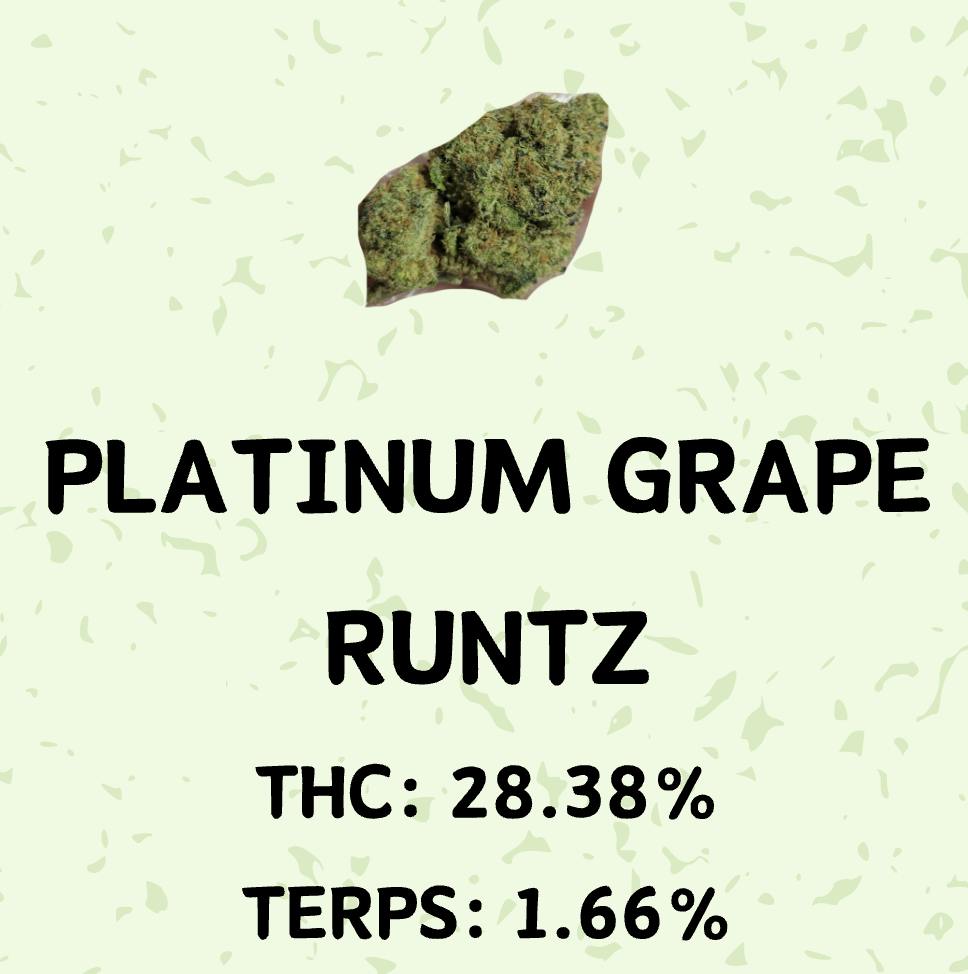 Platinum Grape Runtz - Honeydew