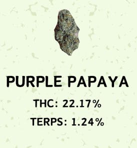 Purple Papaya