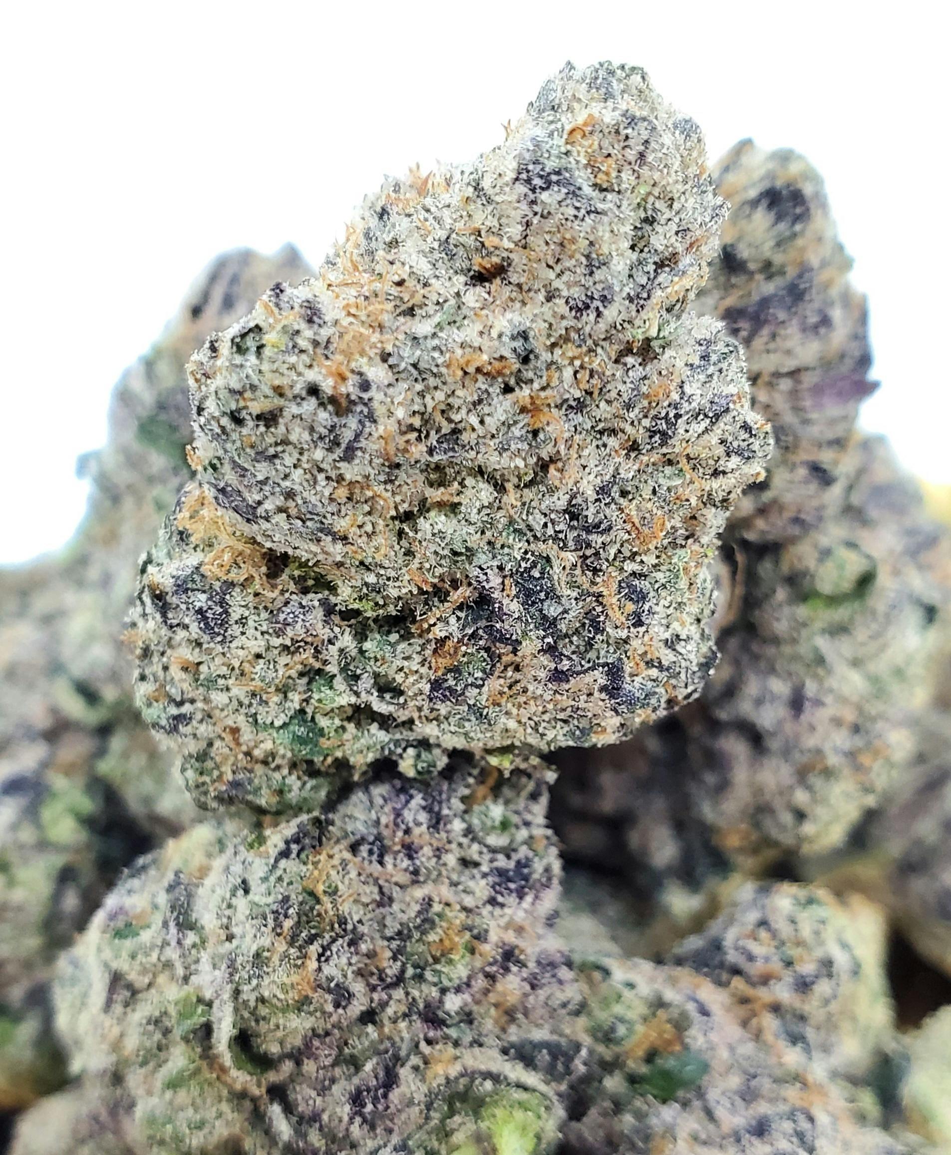 Candy Runtz - World Class Cannabis
